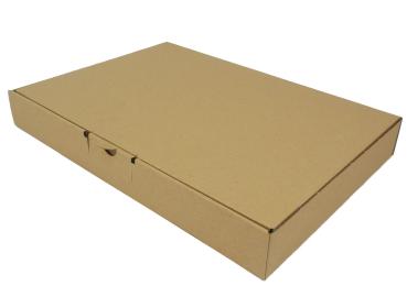 Maxibriefkarton Warenpost Versandkarton Verpackung MB 350x250x50 mm